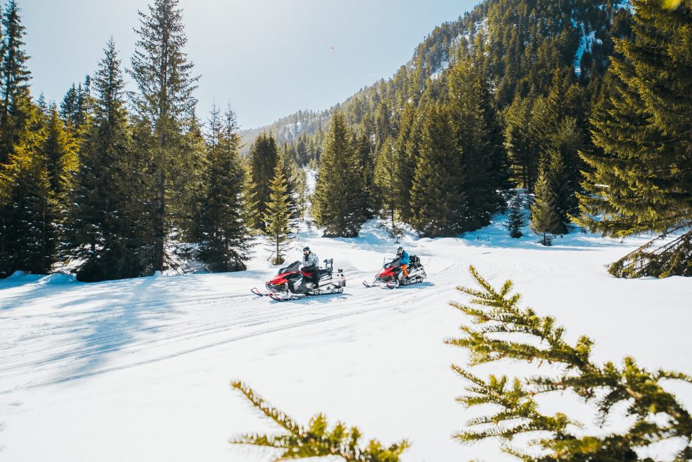 אופנועי שלג על רקע שלג ועצים